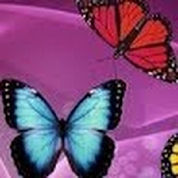 Meet your Posher, Jessica - Picture 1 of 1